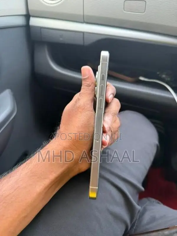 Apple iPhone 15 Pro Max 256GB (Used)