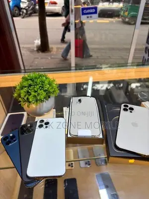 Apple iPhone 12 Pro 256GB (Used)