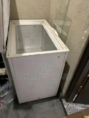Singer Deep Freezer