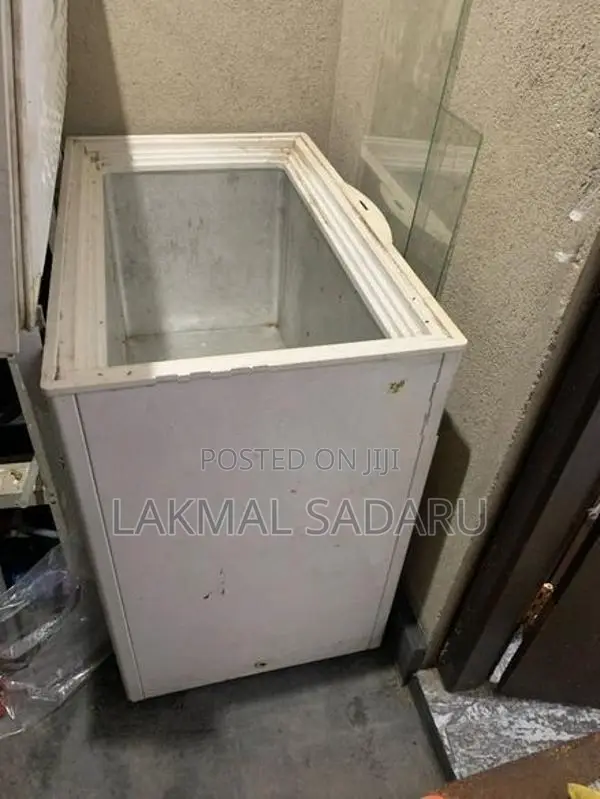 Singer Deep Freezer