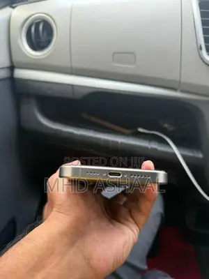 Apple iPhone 15 Pro Max 256GB (Used)