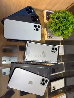 Apple iPhone 12 Pro 256GB (Used)