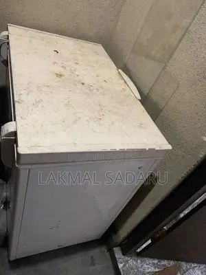 Singer Deep Freezer