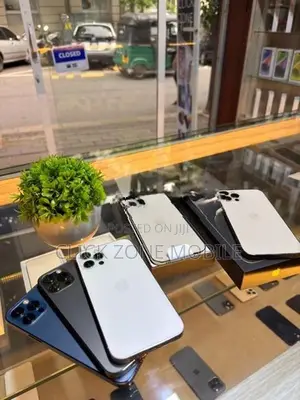 Apple iPhone 12 Pro 256GB (Used)