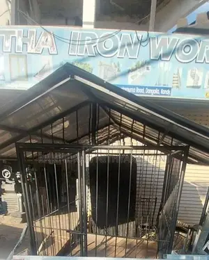 Dog Cage