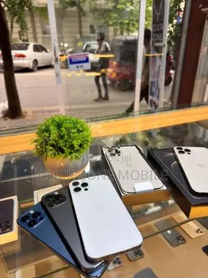 Apple iPhone 12 Pro 256GB (Used)