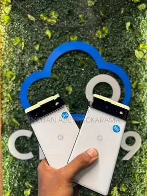 Google Pixel 6 256GB (Used)