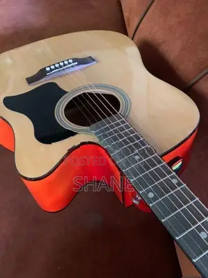 Semi Acoustic Guitar