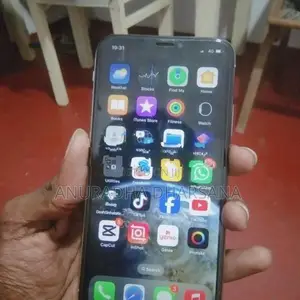 Apple iPhone X (Used)