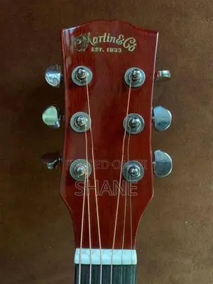Semi Acoustic Guitar