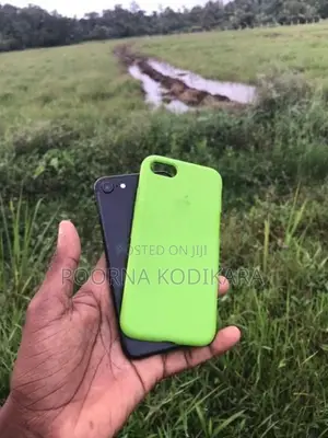 Apple iPhone 7 (Used)