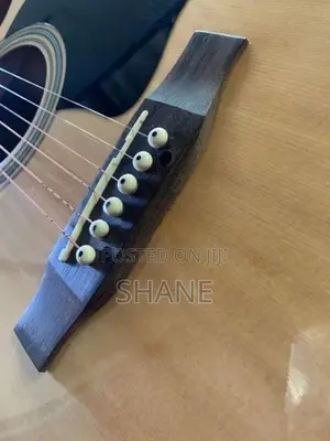 Semi Acoustic Guitar