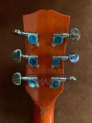 Semi Acoustic Guitar