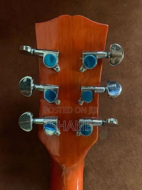 Semi Acoustic Guitar