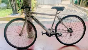 Japan Racing Bicycle