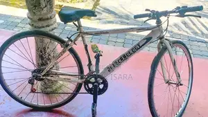 Japan Racing Bicycle