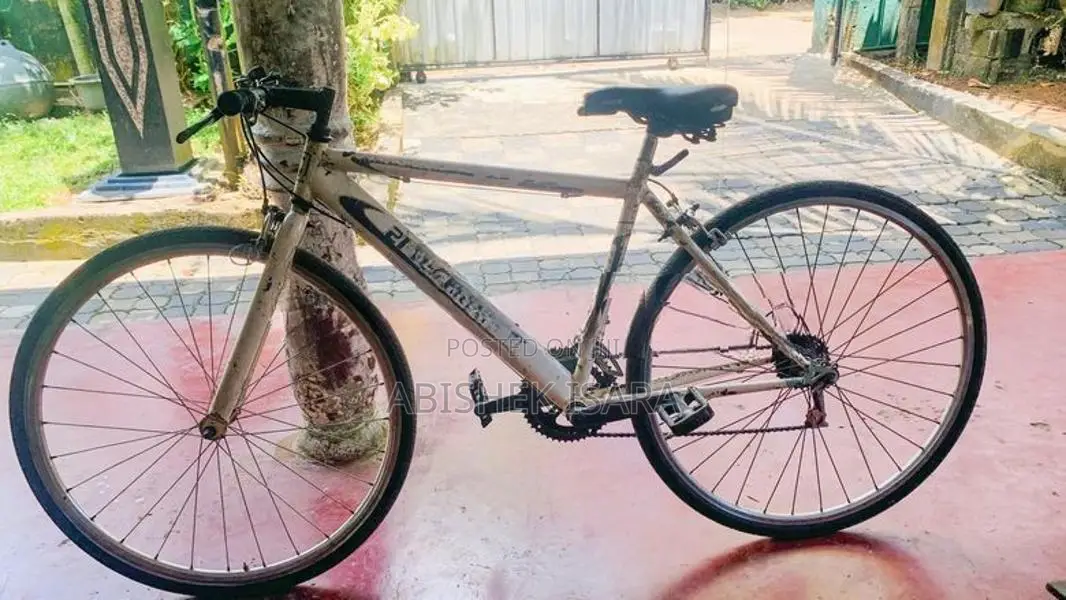 Japan Racing Bicycle