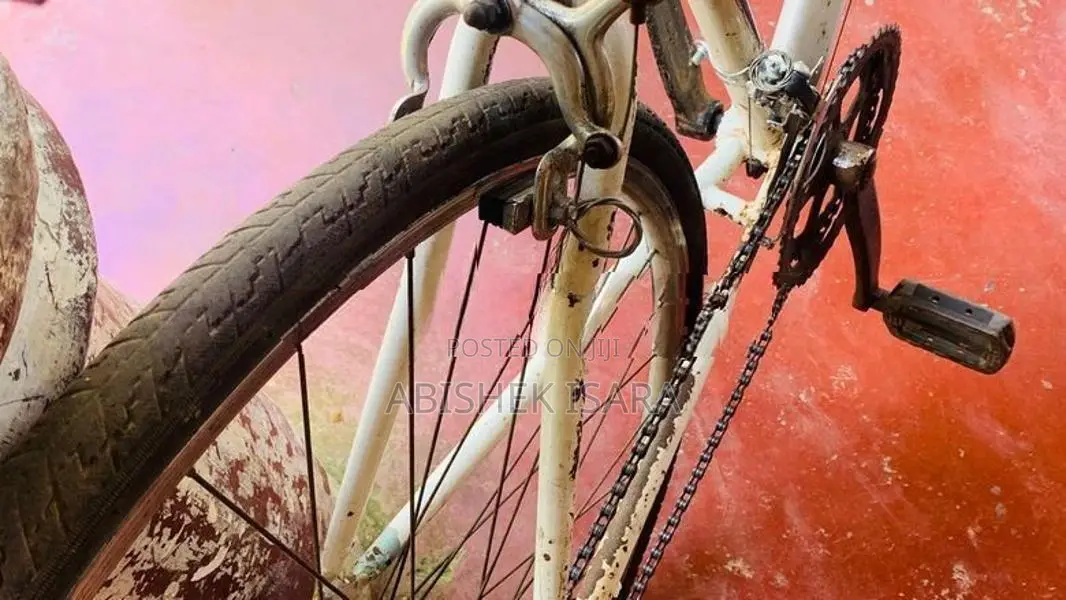 Japan Racing Bicycle