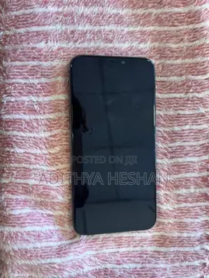 Apple iPhone X 256GB (Used)