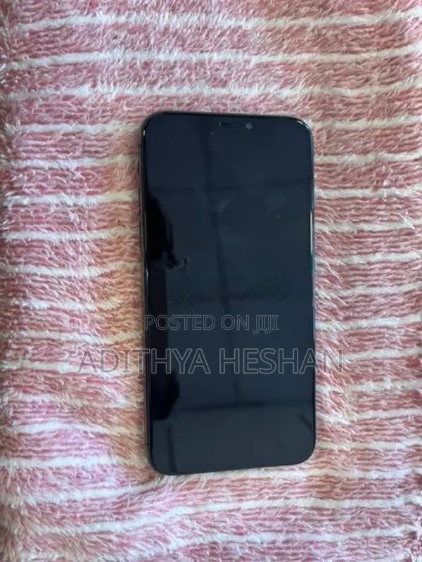 Apple iPhone X 256GB (Used)