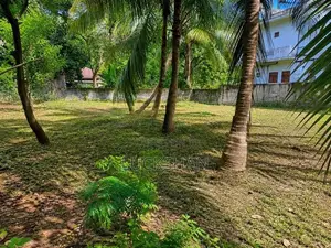 Land for Sale Jaffna