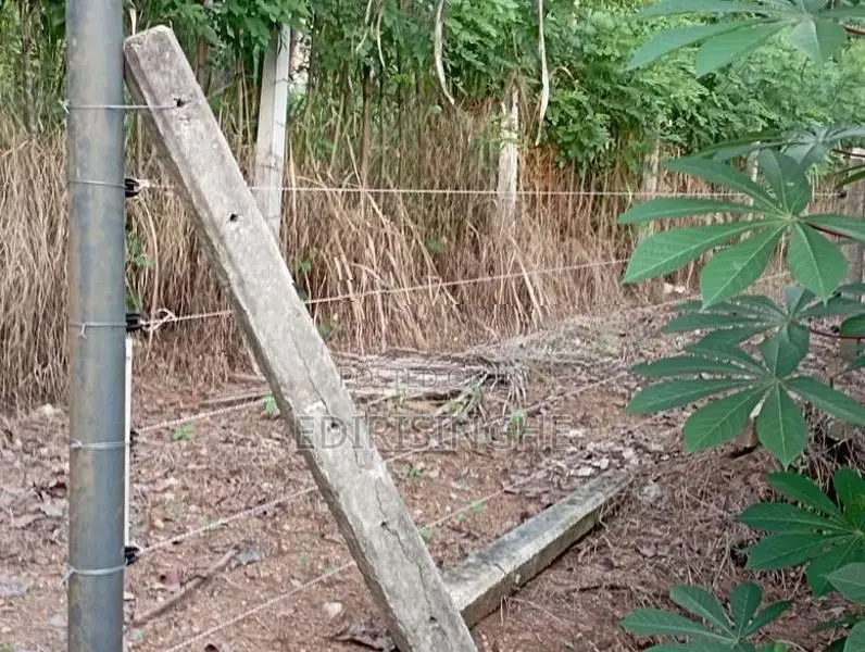 Land for Sale Alawwa , Narammala Road