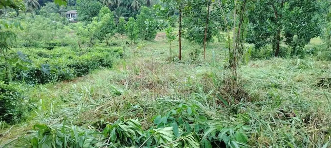 Land for Sale in Galigamuwa