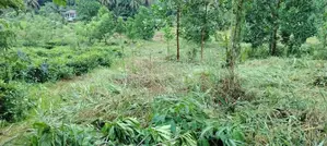 Land for Sale in Galigamuwa