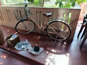 Japanese Bicycle