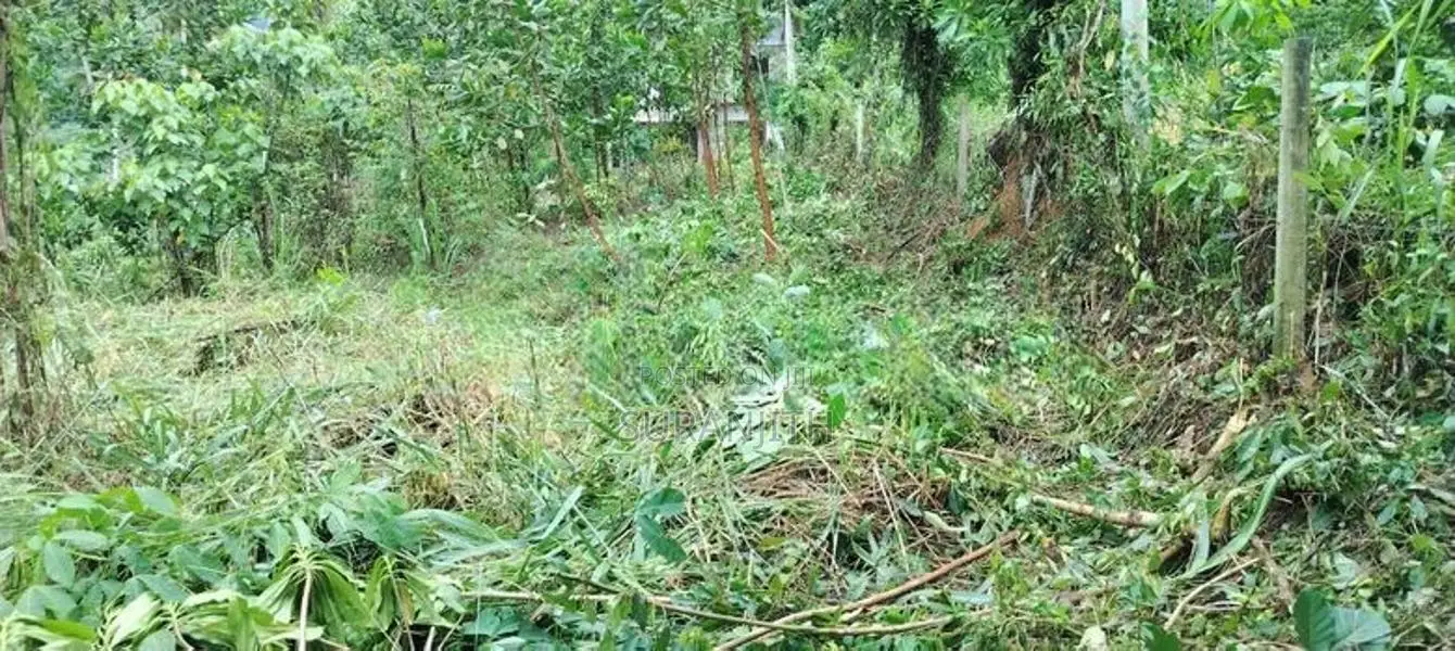 Land for Sale in Galigamuwa