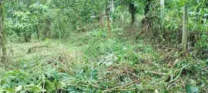 Land for Sale in Galigamuwa