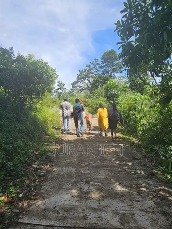 Land for Sale in Galigamuwa