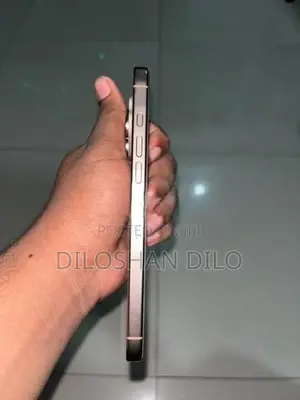 Apple iPhone 16 Pro Max (Used)