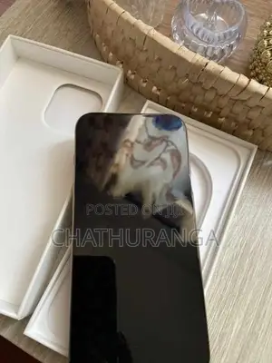 Apple iPhone 16 Pro Max (Used)