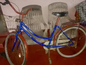 DSI Bicycle