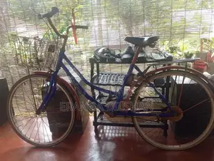 DSI Bicycle