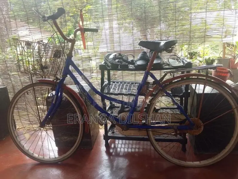 DSI Bicycle