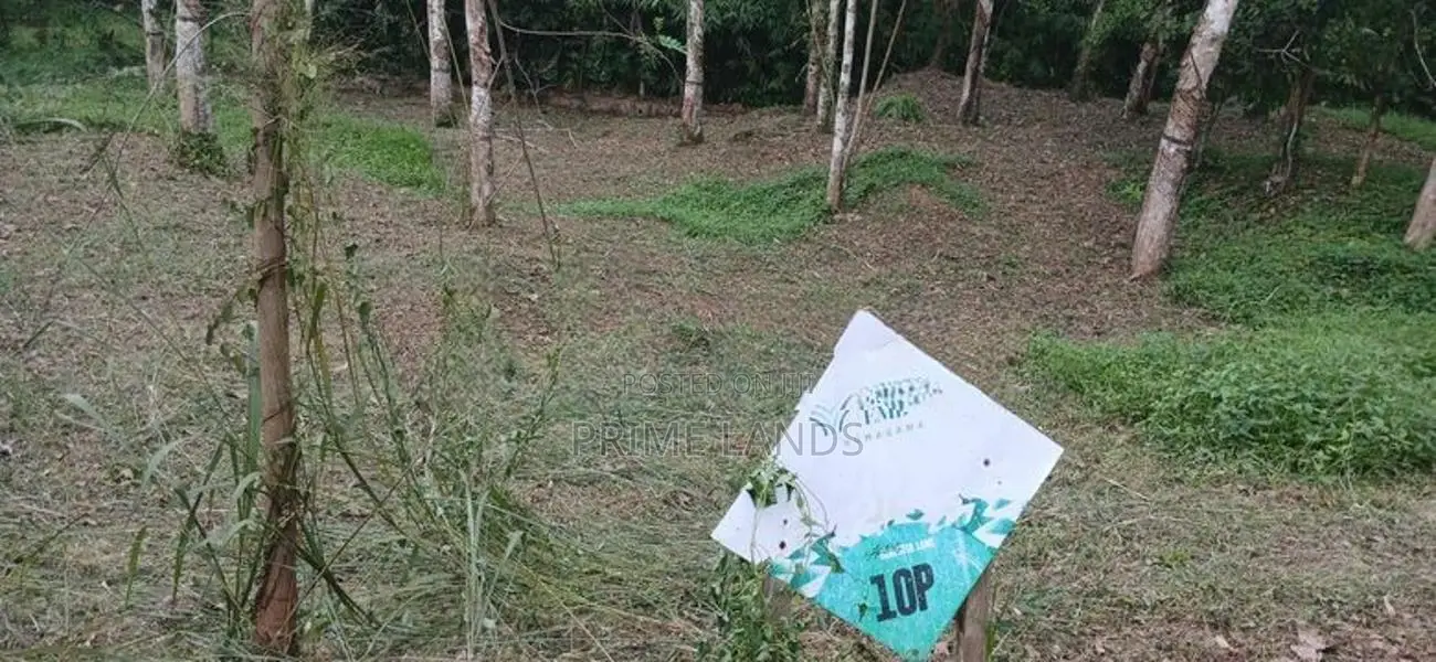 මීගොඩ නිස්කලන්ක පරිසරයක ජීවත්වන්න බිම් කොටස්