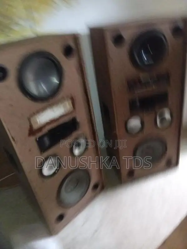 Speaker Set