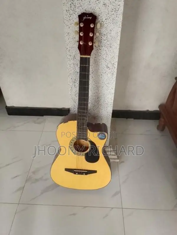Guitar