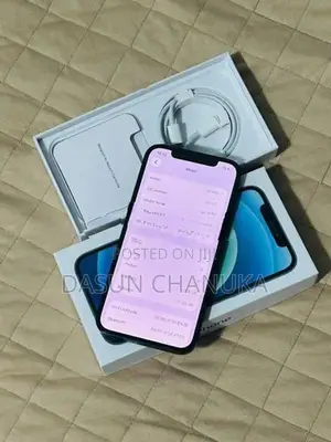 Apple iPhone 12 (Used)