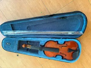 Violin