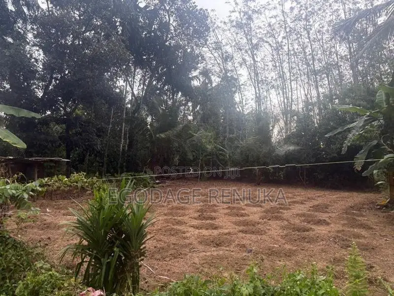 Land for Sale in Padukka