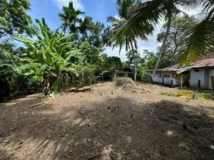 Land for Rent in Piliyandala Town
