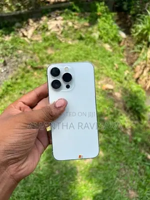 Apple iPhone 13 Pro 256gb (Used)