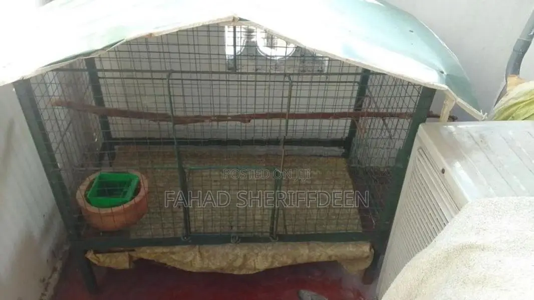 Rabbit Cage