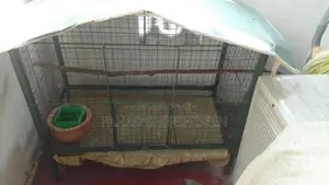 Rabbit Cage