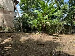Land for Rent in Piliyandala Town