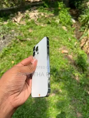 Apple iPhone 13 Pro 256gb (Used)