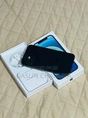 Apple iPhone 12 (Used)